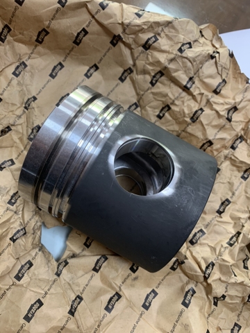 PISTON 1146 NHỌN DOOSAN - DL