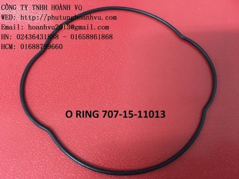 GIOĂNG QUẢ CHÁM BƠM KHIỂN PC75