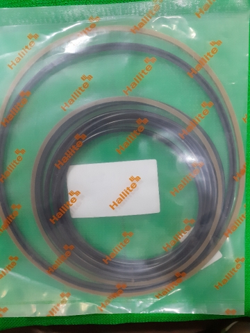 PHỚT SIN PHANH DX210 - ATS (HALLITE)