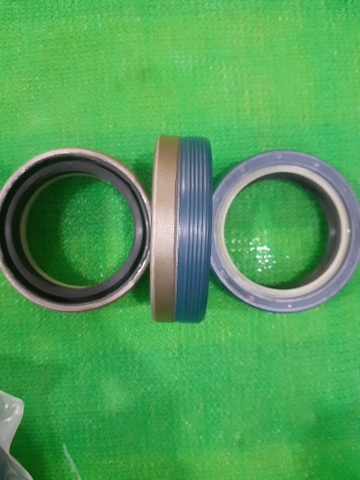 PHỚT LÁP DX55 45*60*16 TN