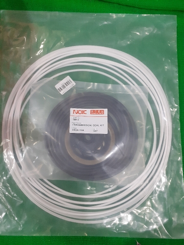BỘ PHỚT SỐ D53-18 CHUẨN (TB 85*110*13 )  ATS