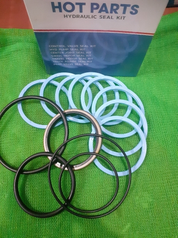 PHỚT TRUNG TÂM EX55/ ZX55  ROI 70* 8 SỢI - SKF