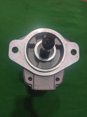 BƠM 2 KHOANG D41-3/5 13T 2 KHOANG 34*47 Q.PHẢI VÀO THÂN RA ĐUÔI - 26