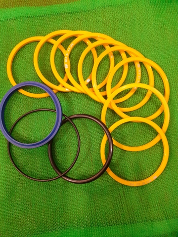PHỚT TRUNG TÂM R55-7/9 XÍCH - ROI 80- ATS