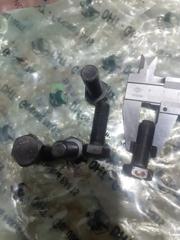BU LÔNG ĐẦU TRÂU R55-7 M12*35 ZEN MỊN DONGBU