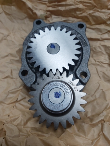 BƠM NHỚT 6D107 BR THẲNG CUMIN XỊN