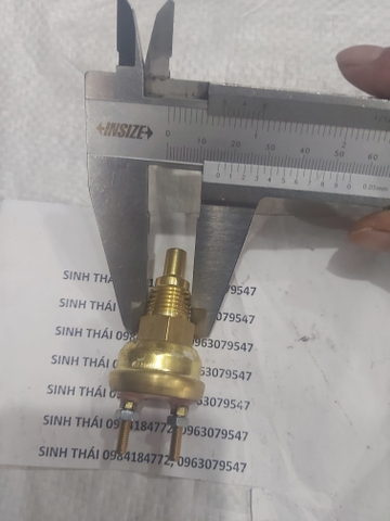Cảm biến nước SK200-6E loại to 2 chân TTQ