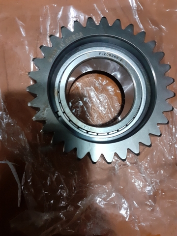 BỘ BÁNH RĂNG CHẤU  S200 31R D101*H52 - TM KOREA XỊN