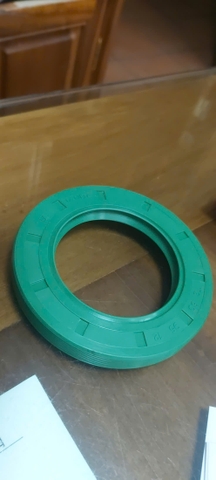 PHỚT LÒ XO 60*95*12 TG