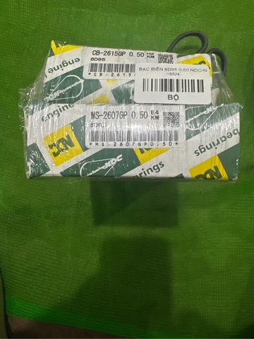 BẠC BIÊN 6D95 0.50 NDC-N