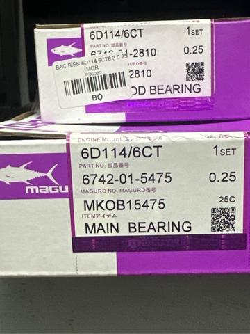 BẠC BIÊN 6D114 6CT8.3 0.25 MGR