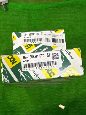 BẠC BIÊN 6D34 STD NDC - N