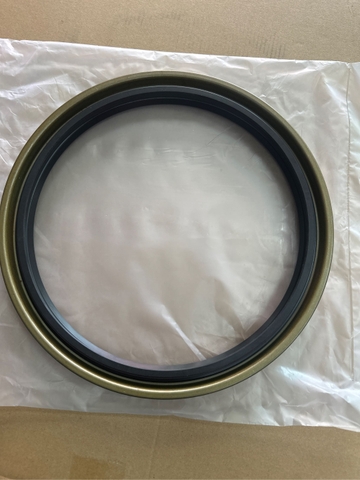 PHỚT QT SK460-8  260*300*28  ( 2 LỢI ) - NT