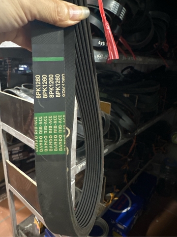 DÂY CU LOA 8PK 1260