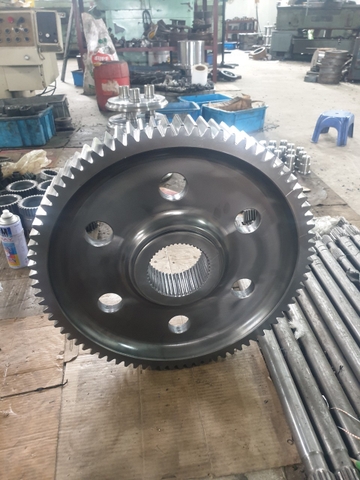 BÁNH RĂNG HÔNG D41-6 ( 81R*46T*H80) + C