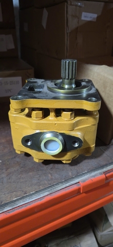 BƠM SỐ D65-11 1KHOANG 42mm 13T QUAY TRÁI KXN0003284