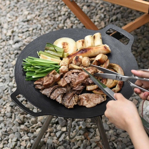 Chảo nướng camping Wagensteiger dùng cho bếp từ, bếp ga