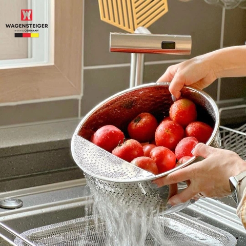 Mua chậu rửa đục lỗ Wagensteiger 24cm cao cấp