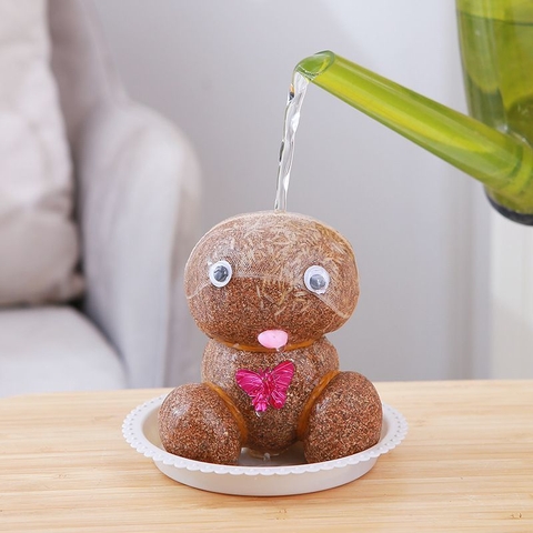 Búp Bê Đầu Hoa Cỏ Dễ Thương Trang Trí Phòng Bàn Làm Việc PVN3366