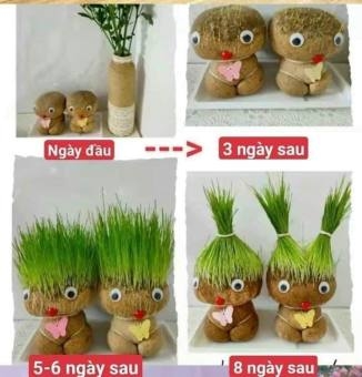 Búp Bê Đầu Hoa Cỏ Dễ Thương Trang Trí Phòng Bàn Làm Việc PVN3366