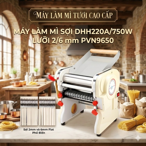 {Đủ Mẫu} Máy Làm Mì Sợi DHH220C/750W + Trộn bột Cán Hoành Thánh, Bánh Canh, Bánh Bao Ramen Chinese Noodles Fried