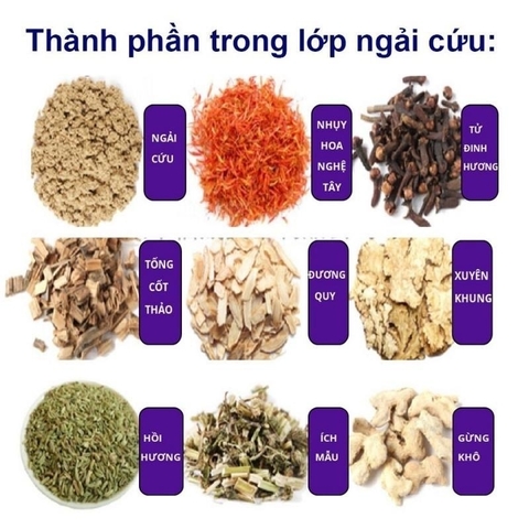 Combo Thảm  Lót Ngải Cứu Đông Y – Giữ Ấm, Giảm Đau, Thư Giãn