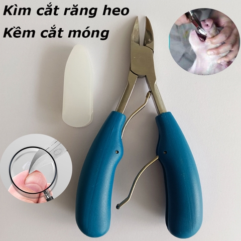 Kềm Cắt Móng Chân Cứng Mọc Ngược, Kìm Cắt Răng Lợn Kìm Bấm Nanh Cho Heo Con Bằng Thép Không Gỉ