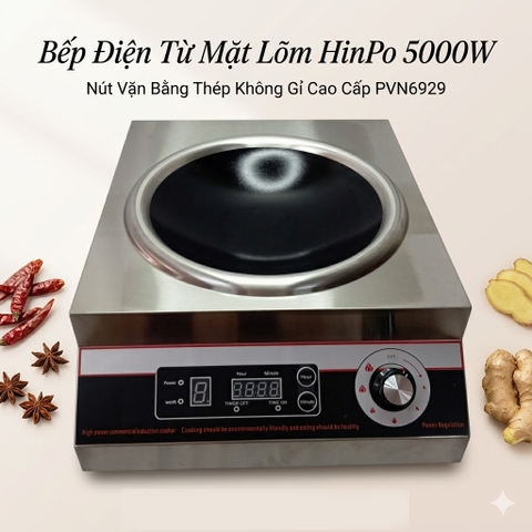 {Đủ Mẫu} Bếp Điện Từ và Hồng Ngoại Công Nghiệp Cho Nhà Hàng