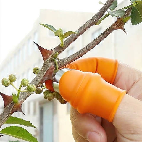 BAO NGÓN TAY SILICON GẮN MÓNG KIM LOẠI – TIỆN DỤNG CHO HÁI, BÓC, NGẮT RAU CỦ QUẢ