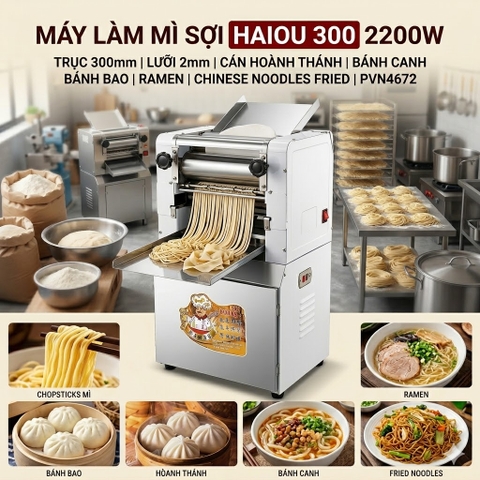 Máy Làm Mì Sợi Haiou 300 2200W Trục 300 mm Lưỡi 2 mm Cán Hoành Thánh Bánh Canh Bánh Bao Ramen Chinese Noodles Fried PVN4672