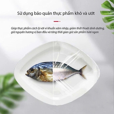 MÁY BỌC MÀNG THỰC PHẨM HW450 INOX – CẮT MÀNG TỰ ĐỘNG | PVN9679