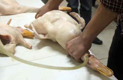 Máy Bơm Hơi HAILEA ACO Oxy Thủy Sản, Bể Cá, Thổi Vịt Quay ACO-388D-85W  Moto Lõi Đồng PVN9086