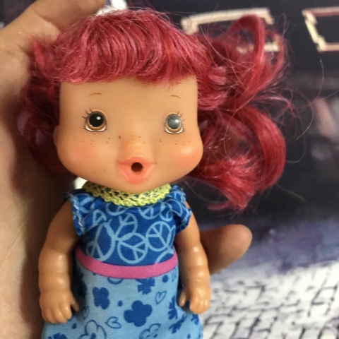 Búp Bê Cô Bé Dâu Tây Thơm Phức 14 Cm 5.5 Inches  A Girl Strawberry Shortcake Dolls