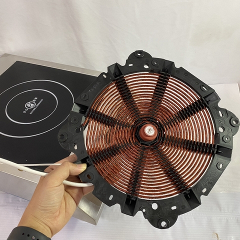 {Đủ Mẫu} Bếp Điện Từ và Hồng Ngoại Công Nghiệp Cho Nhà Hàng