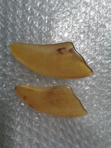 {Đủ Mẫu} BỘ DỤNG CỤ MASSAGE - ẤN HUYỆT - CẠO GIÓ BẰNG SỪNG TỰ NHIÊN