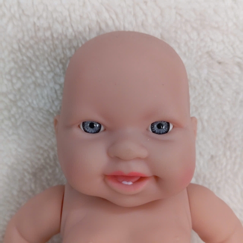 {Đủ Mẫu} Búp Bê Nhựa Cao Cấp Tái Sinh 21 cm 8 inch Mắt To 3D Reborn Vynil Baby Doll