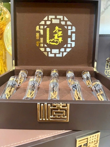 ĐÔNG TRÙNG HẠ THẢO TÂY TẠNG – BÁU VẬT TỪ ĐỈNH CAO THIÊN NHIÊN