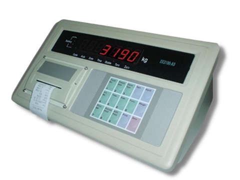 Bộ chỉ thị XK3190-A9P