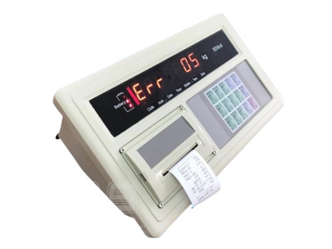 Bộ chỉ thị XK3190-A9