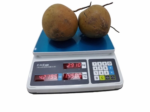 Cân điện tử tính tiền CAS PR-30B- 30kg