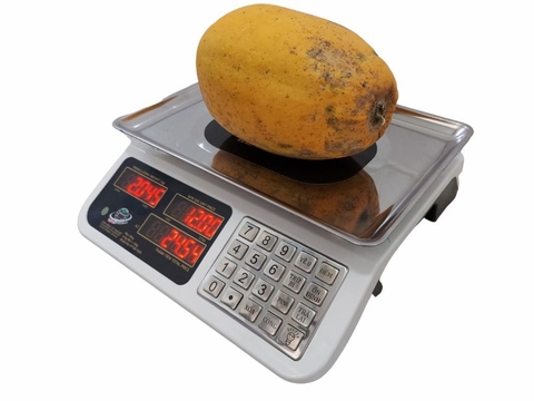 Cân điện tử tính tiền HY100-TĐ30