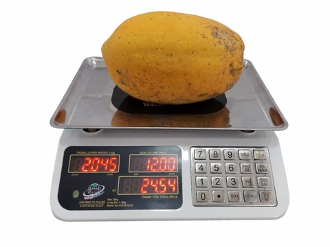 Cân điện tử tính tiền HY100-TĐ30