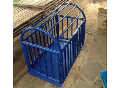Cân heo điện tử 1 tấn 0.8mx1.2m