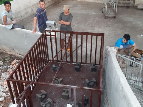 Cân heo điện tử B19S 2 tấn 1.5mx2m