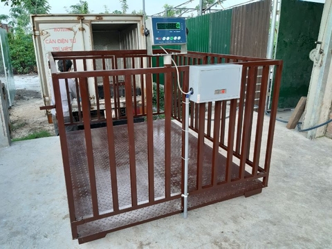 Cân heo điện tử B19S 2 tấn 1.5mx2m