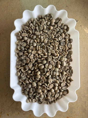 Nhân xanh Arabica Cầu Đất - Specialty Coffee