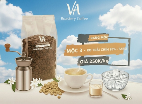 CÀ PHÊ HẠT RANG - MỘC 3