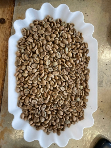 Nhân xanh Robusta Clean Sàng S16 - S18