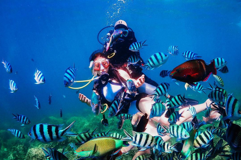 Tour 3 đảo Hòn Mun - Hang Yến - Bãi Tranh