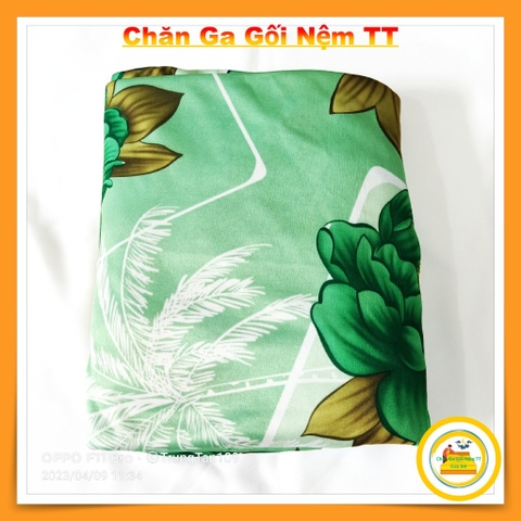 GA GIƯỜNG THUN LẠNH